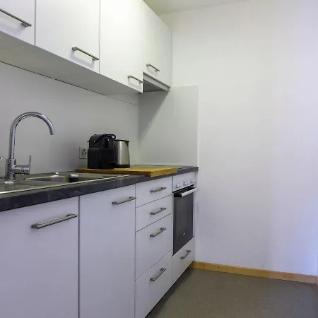 Chesa Ova Cotschna 305 By Interhome Apartment St. Moritz